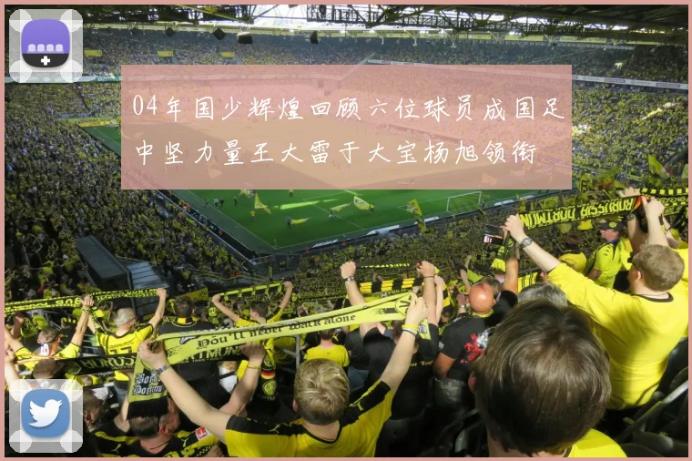 04年国少辉煌回顾六位球员成国足中坚力量王大雷于大宝杨旭领衔